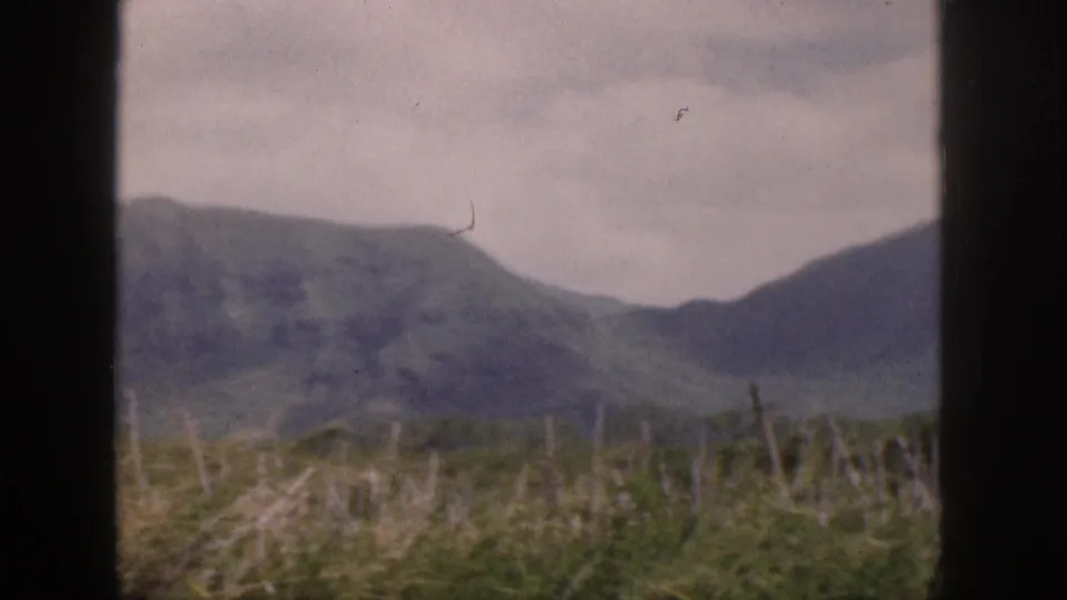 1959 Hawaii 8mm view of rounded green hills and mountain slopes with grass and dry stalks in the foreground.