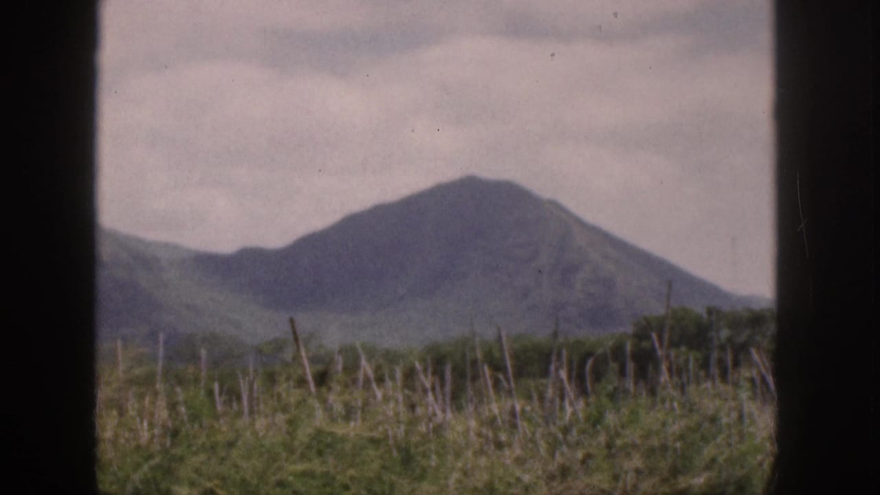 1959 Hawaii home-movie view of a green mountain and foreground vegetation through a dark window or vehicle frame.