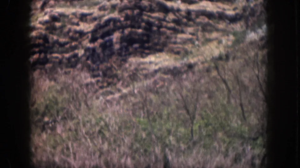 1959 Hawaii 8mm frame showing rough grass, rocky shoreline, and foamy ocean beyond dark frame edges.