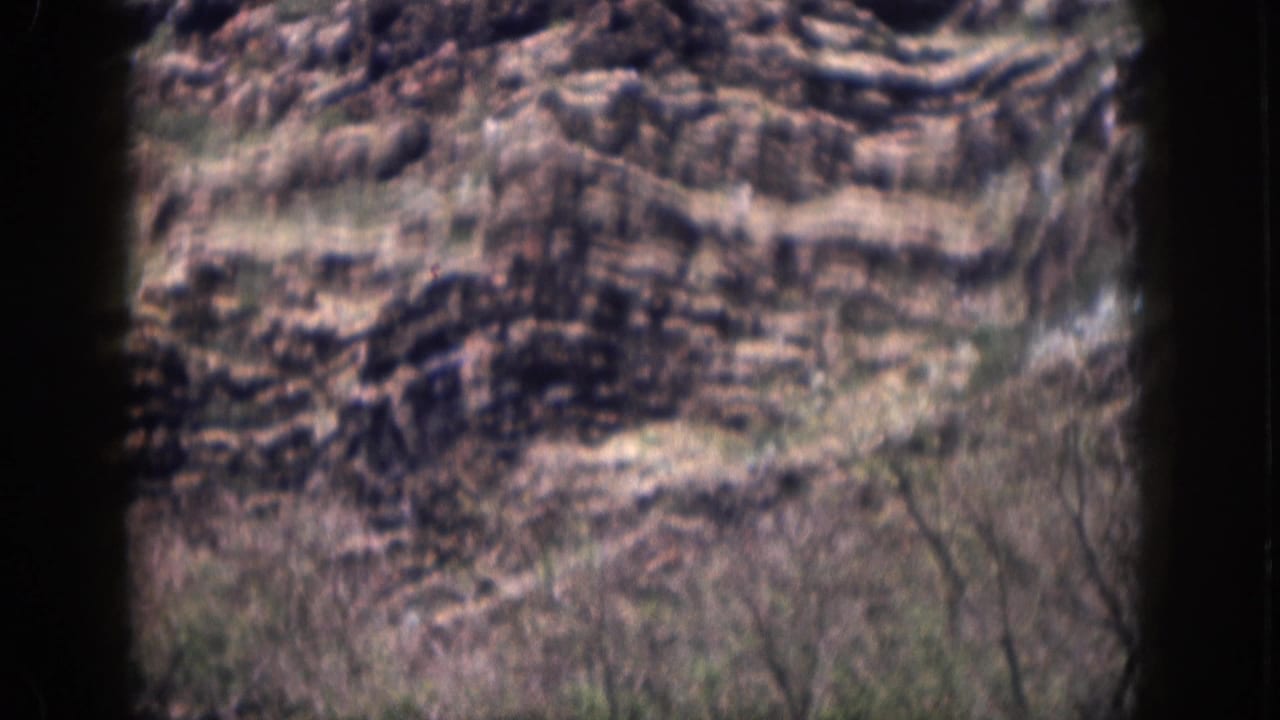 Rocky hillside with sparse brush and dark 8mm frame edges.