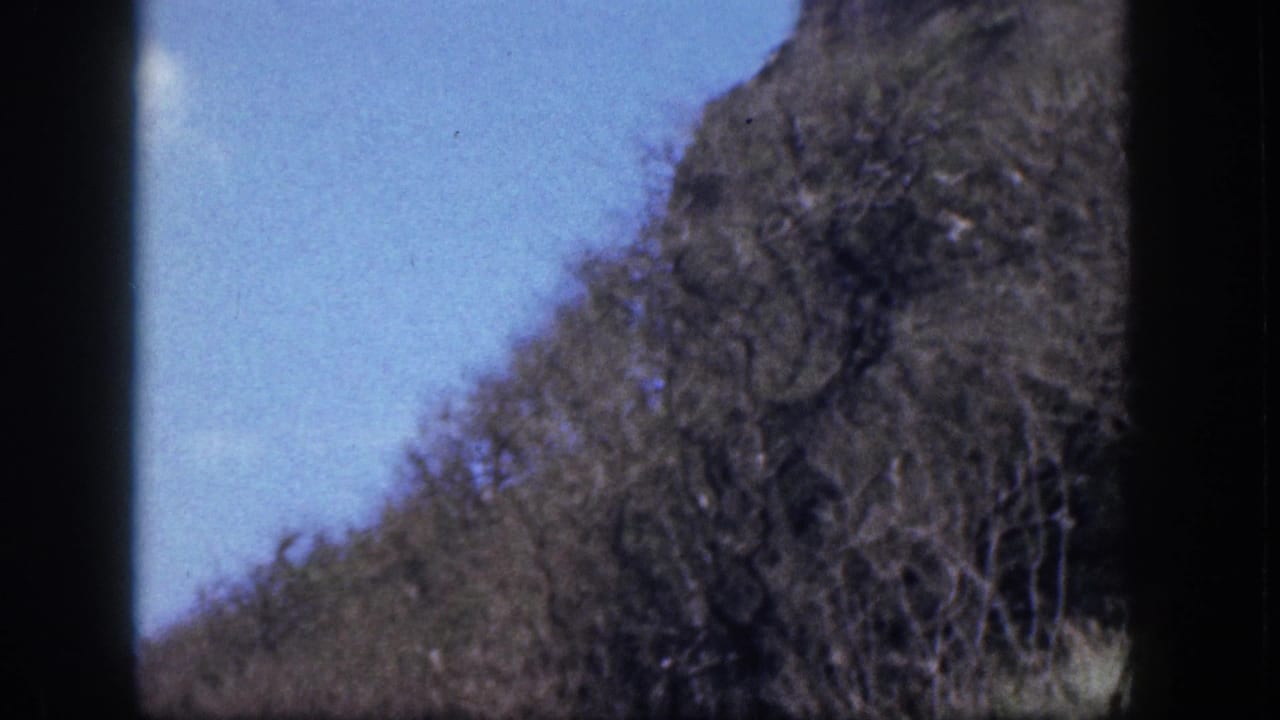 Brushy slope and bare tree branches rising against a pale blue sky.