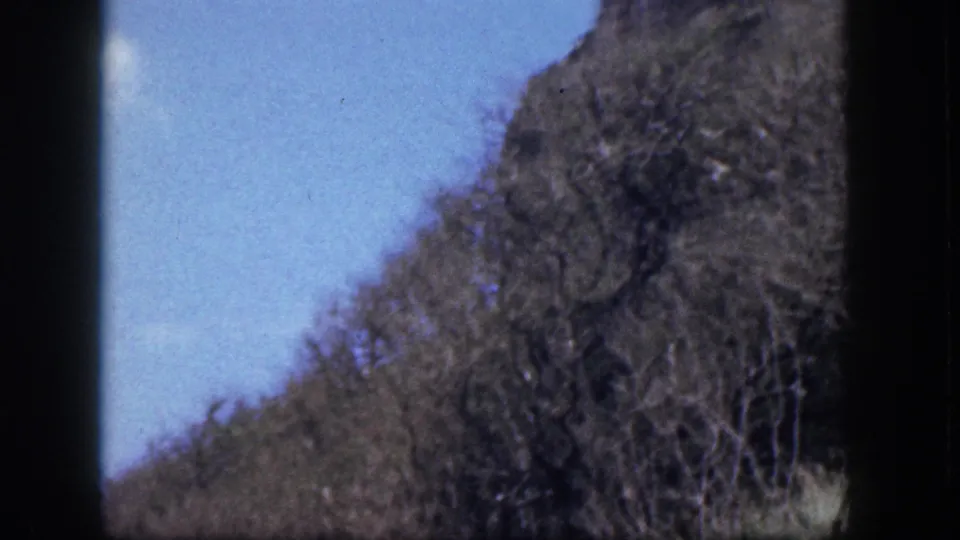 1959 Hawaii 8mm frame with a rugged brush-covered slope, scattered bare trees, and pale blue sky.