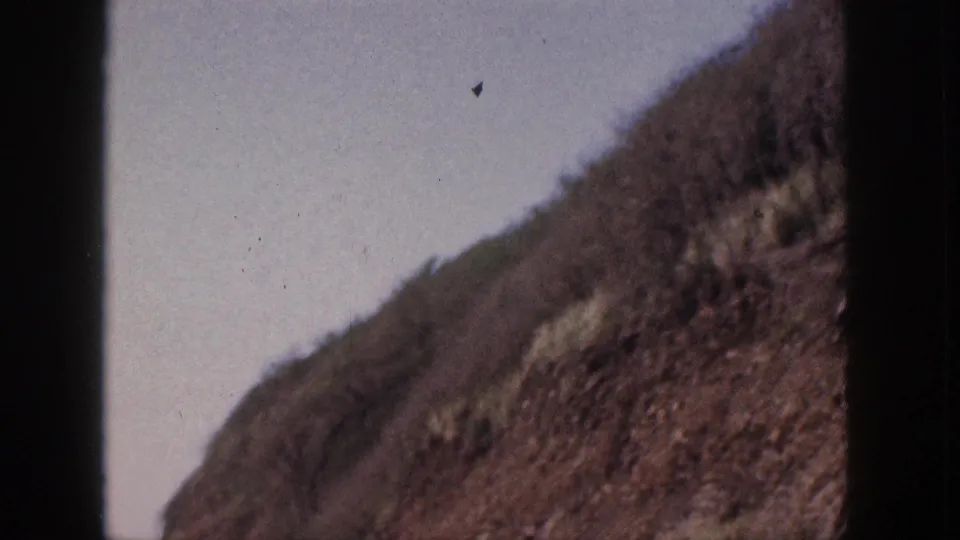 1959 Hawaii 8mm frame showing the pan moving down a rocky, scrub-covered hillside toward lower roadside terrain.
