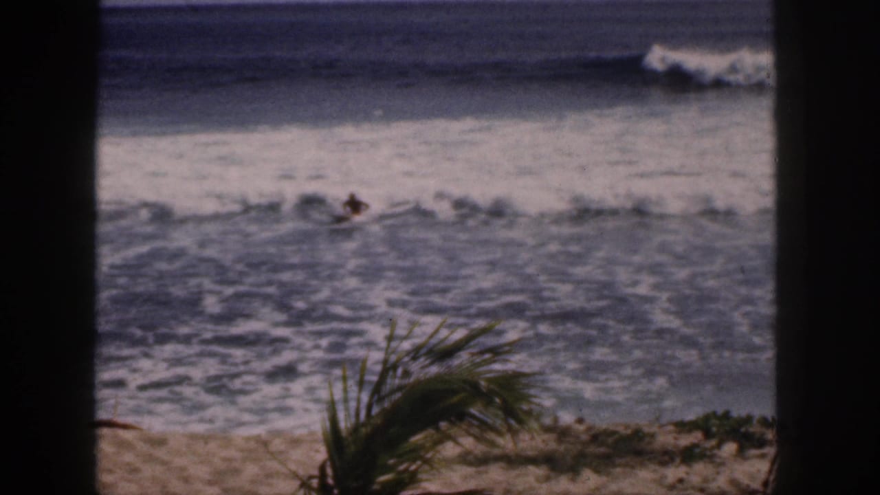 1959 Hawaii 8mm frame showing a distant beach rider or swimmer in breaking surf, viewed past dark framing and palm fronds.