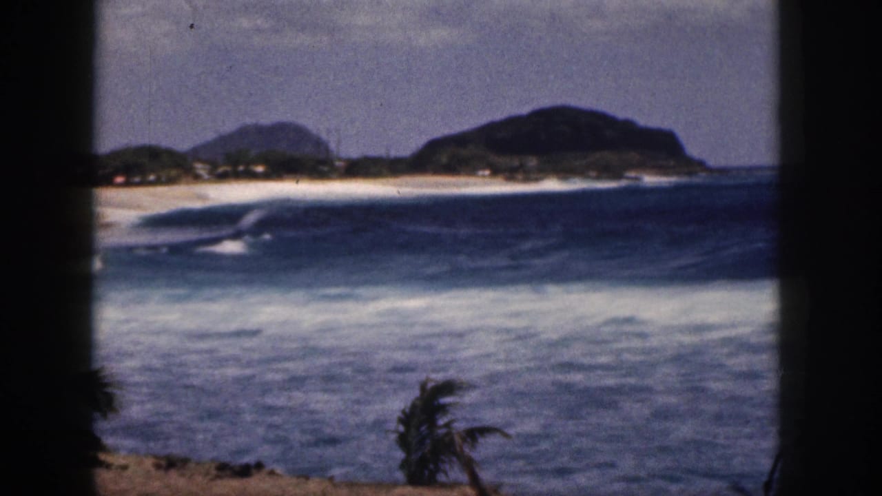Wide coastal view with waves, beach, hills, palm fronds, and dark vertical framing.