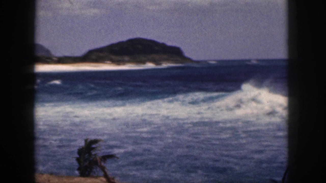 1959 Hawaii 8mm frame showing a larger white wave breaking across blue water, with a sandy beach, low headland, clear sky, and palm fronds in the foreground.