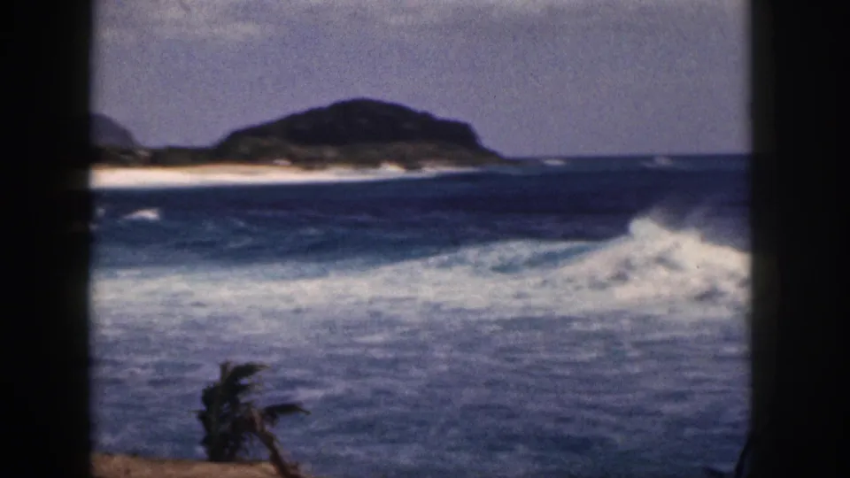 1959 Hawaii 8mm frame showing a larger white wave breaking across blue water, with a sandy beach, low headland, clear sky, and palm fronds in the foreground.