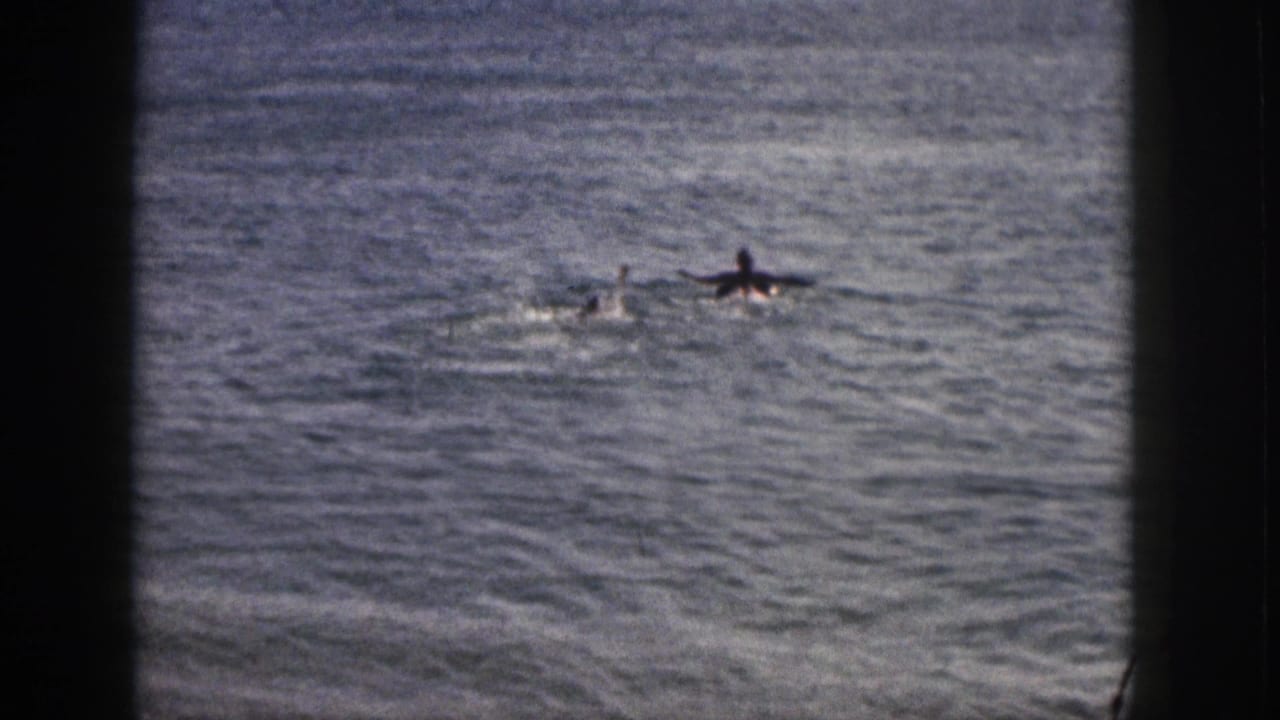 Two swimmers move across rippled ocean water near the shore.