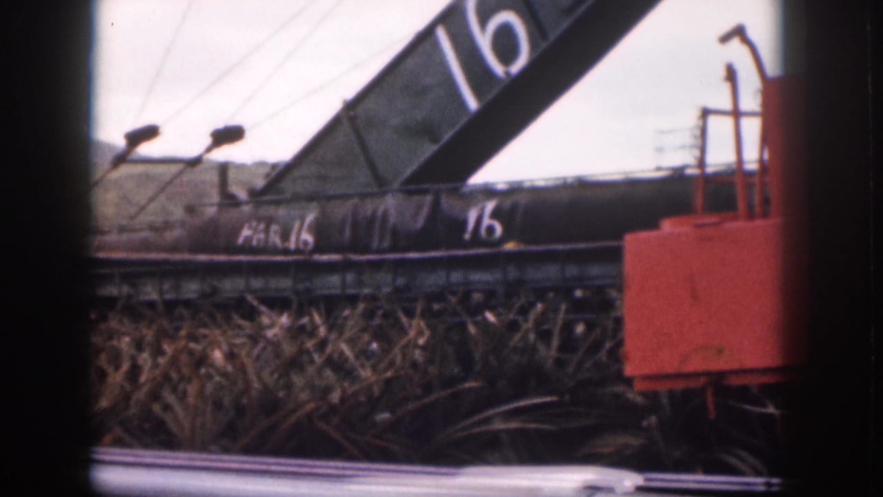 Dark railcar or barge marked HAR.16 and 16 near grass, with red equipment at right.