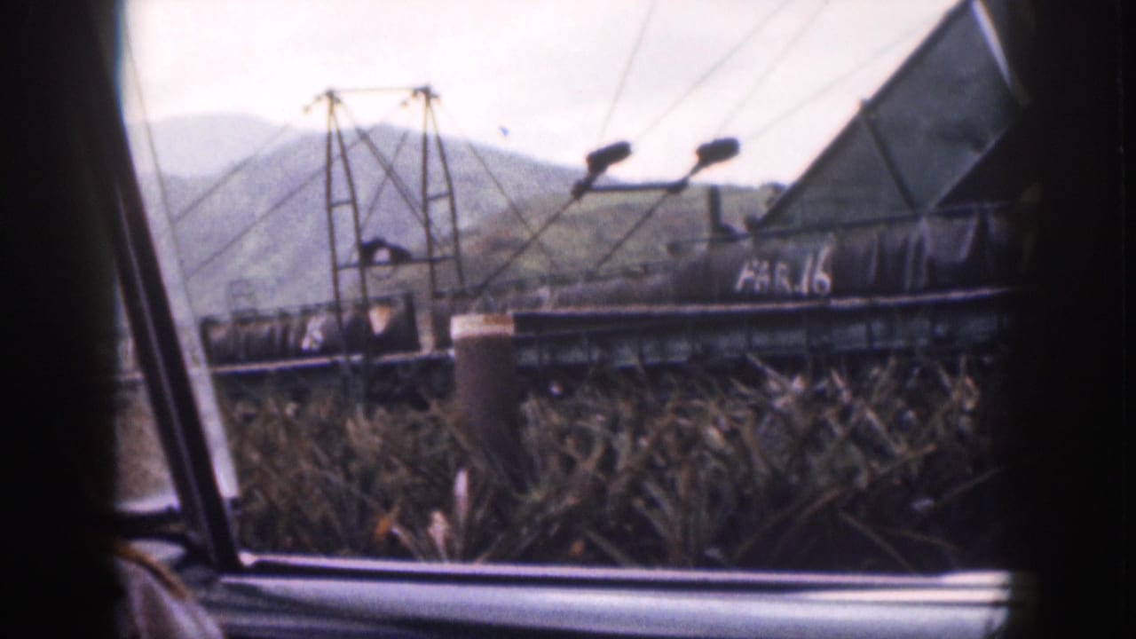Sugarcane field viewed from inside a vehicle, with dark machinery and mountains beyond.
