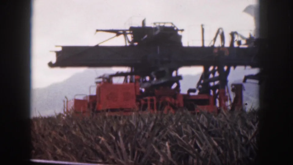 1959 Hawaii 8mm frame of a stationary sugarcane harvester broadside in a cane field, with soft mountains behind it.