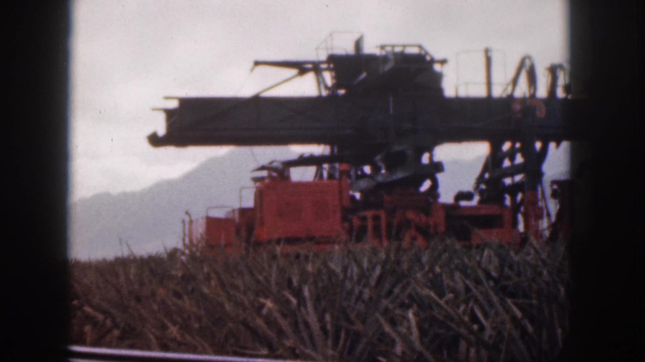 Large red field machine seen beyond cane plants with a pale mountain ridge behind it.