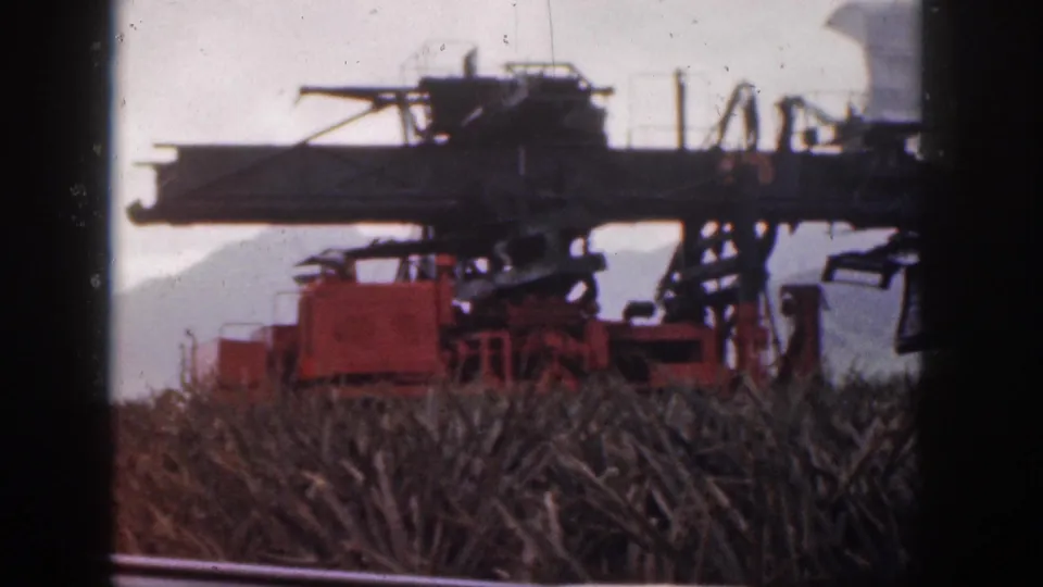 A close field view shows the red harvester and elevated machinery structure partly silhouetted against the sky.