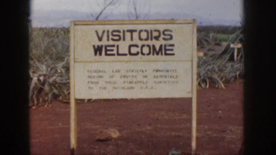 A farm sign reading "VISITORS WELCOME" stands near cane plants and red soil, indicating a public-facing stop on the Hawaii visit.