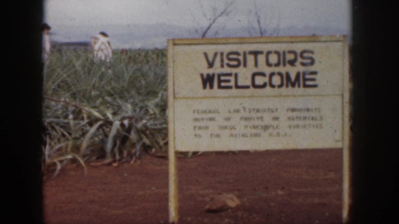 VISITORS WELCOME sign beside pineapple plants, with distant people partly visible behind it.