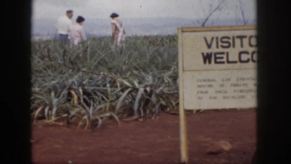 1959 Hawaii 8mm frame showing three visitors in a pineapple field beside a partially cropped VISITORS WELCOME sign.