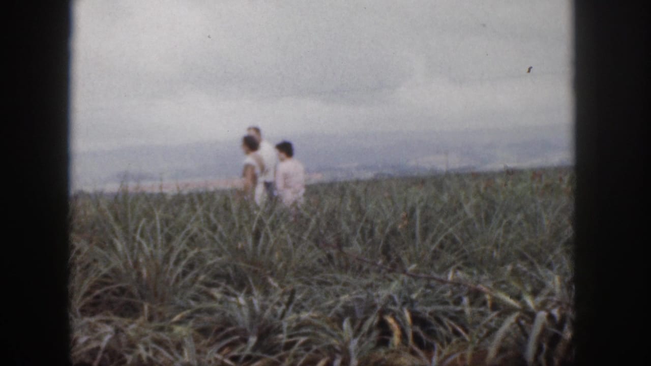 Two adults walking through a spiky field under an overcast sky.
