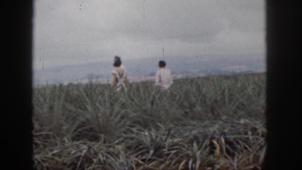 Two adults seen farther across the field with hills in the distance.