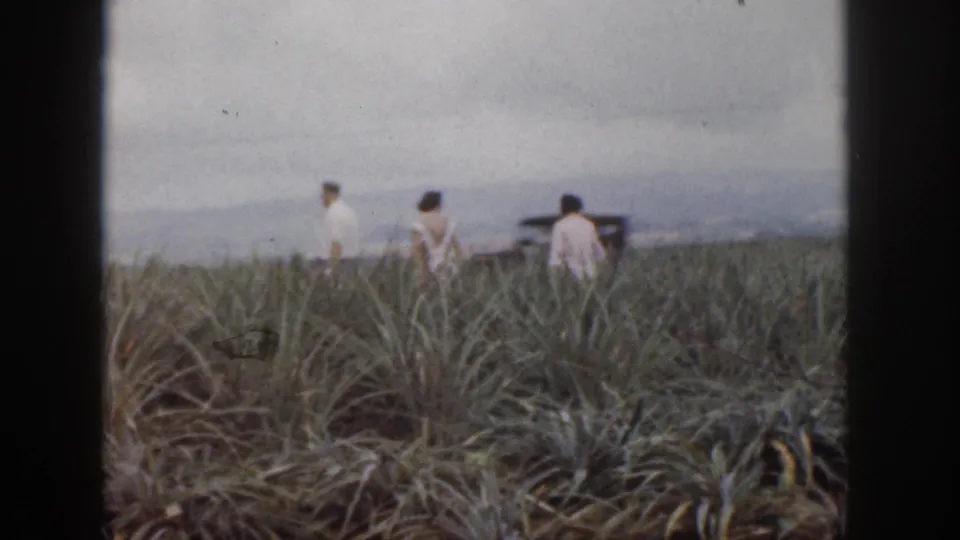 Three adults in light clothing cross the field, with a darker roadside or vehicle-like shape in the background.