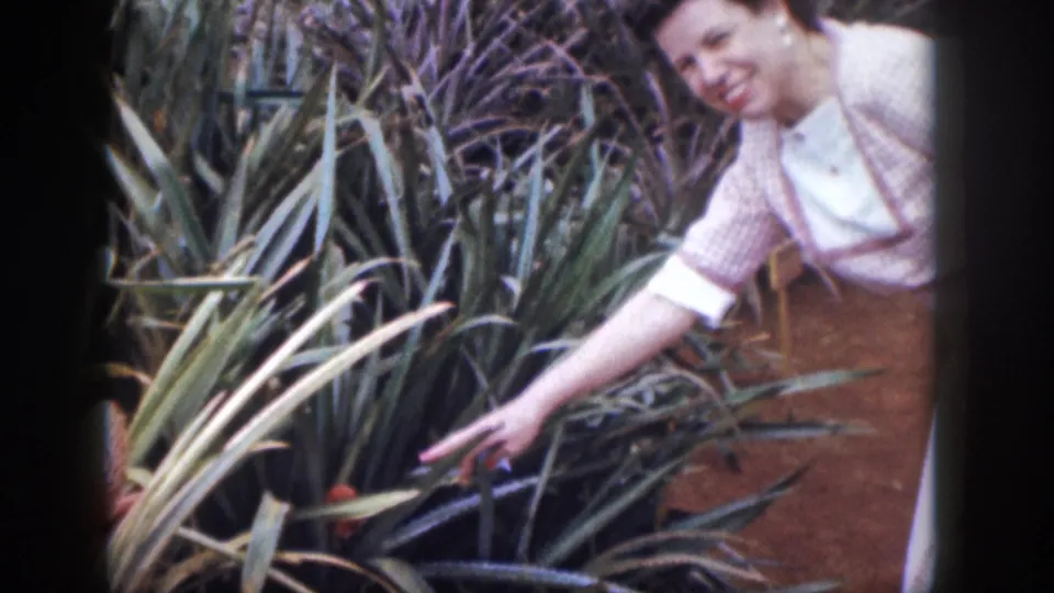 1959 Hawaii 8mm frame with a smiling woman leaning forward and pointing at spiky tropical garden foliage.