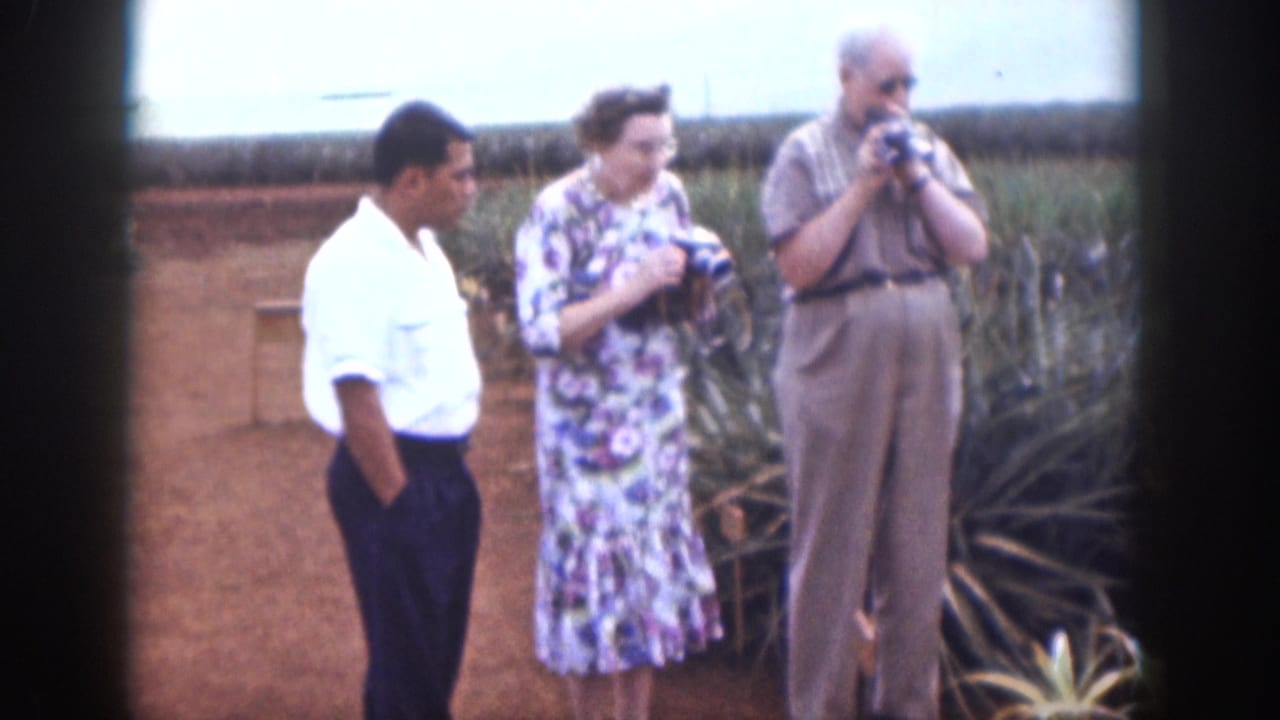 Three adults stand near pineapple plants while two hold cameras.