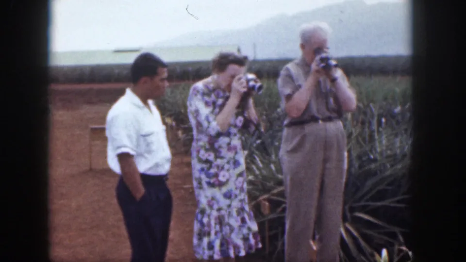 In 1959 Hawaii, two tourists lift cameras beside pineapple plants as a younger man watches.