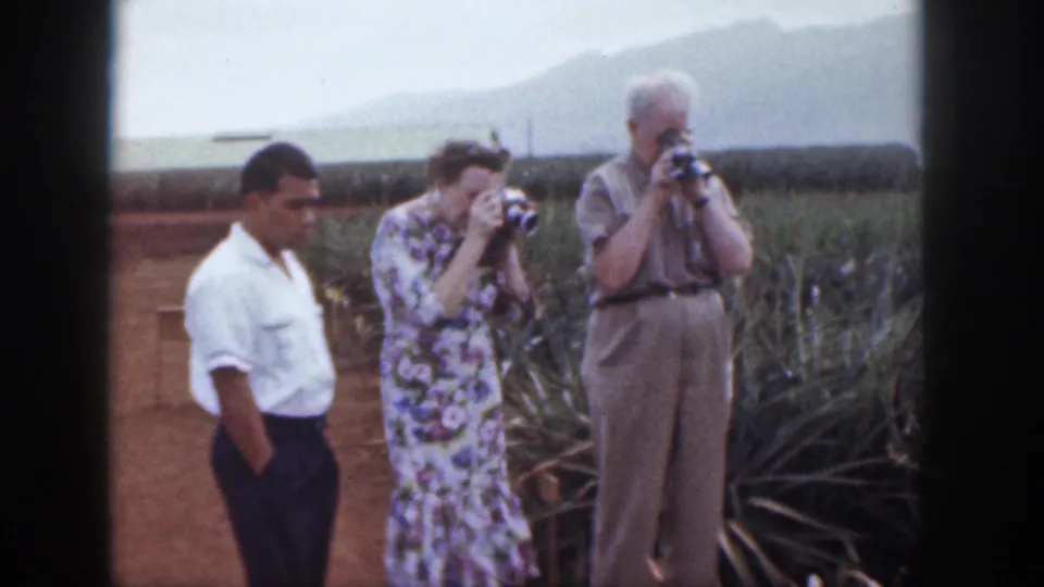 Three adult visitors stand in a Hawaii pineapple field, with the woman and older man photographing the view.