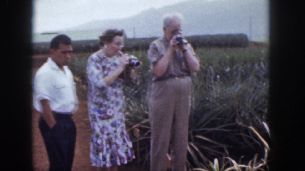 In 1959 Hawaii footage, three adult visitors stand by pineapple rows as a woman and older man handle still cameras.