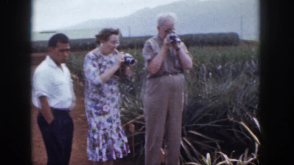 In 1959 Hawaii footage, three adult visitors stand by pineapple rows as a woman and older man handle still cameras.