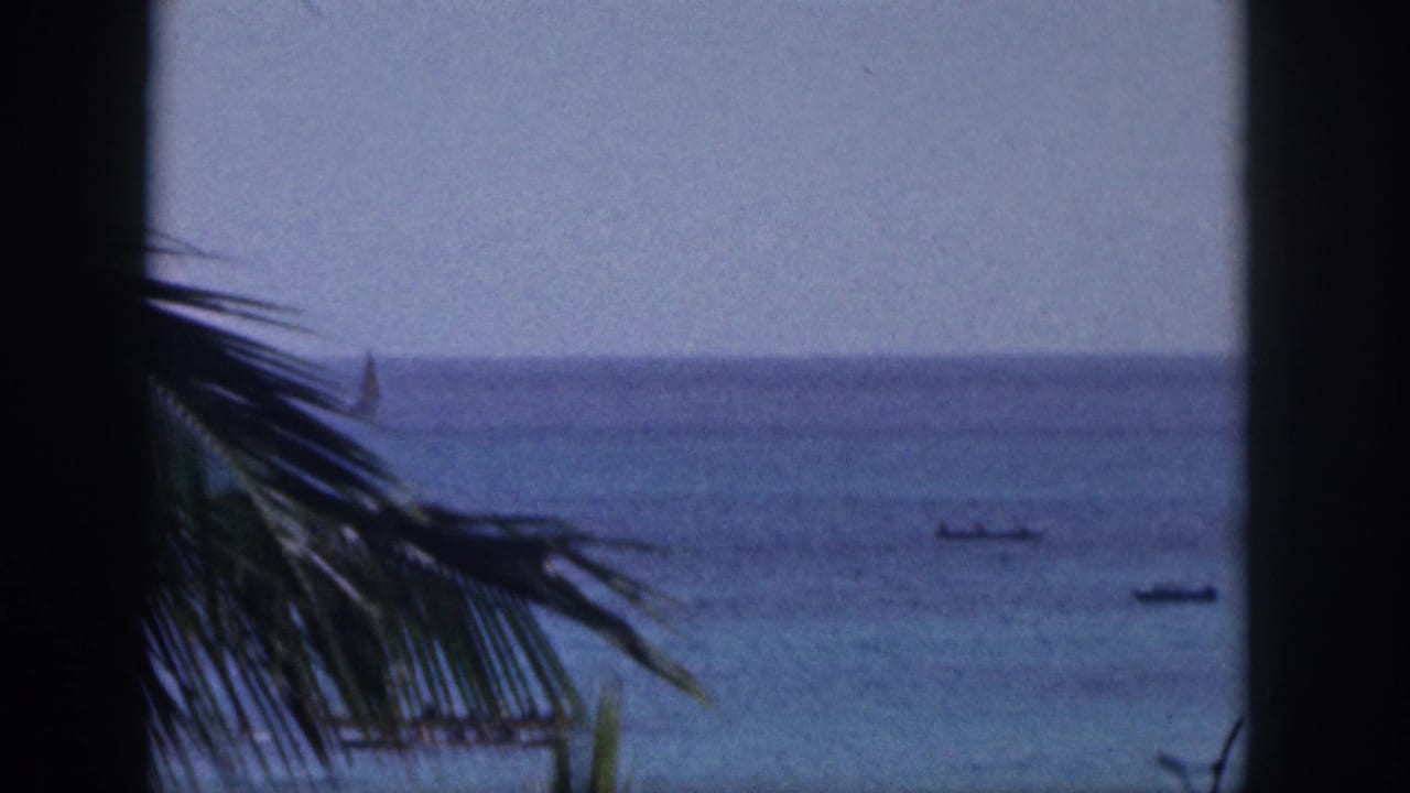 1959 Hawaii 8mm frame with palm fronds in the foreground and a calm ocean horizon with small distant boats.