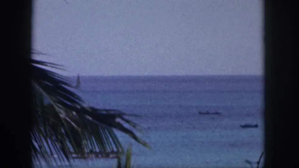 1959 Hawaii 8mm frame with palm fronds in the foreground and a calm ocean horizon with small distant boats.