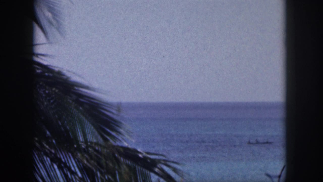 1959 Hawaii 8mm view of palm fronds and a dark trunk silhouetted against blue water and pale sky.