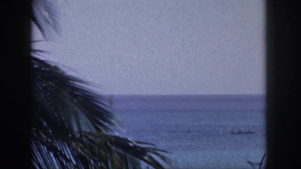 1959 Hawaii 8mm view of palm fronds and a dark trunk silhouetted against blue water and pale sky.