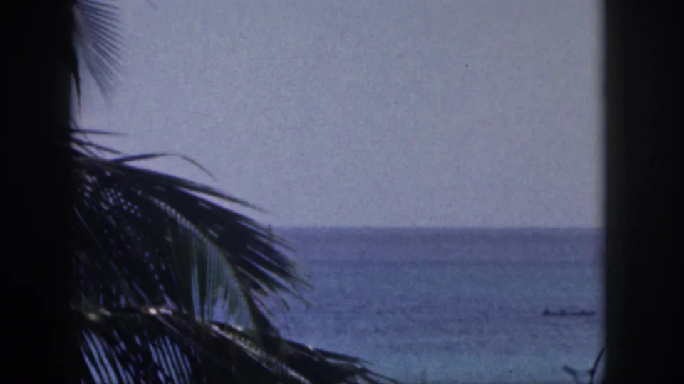 1959 Hawaii 8mm frame showing palm fronds at left, pale sky, and a calm ocean with a small distant boat.