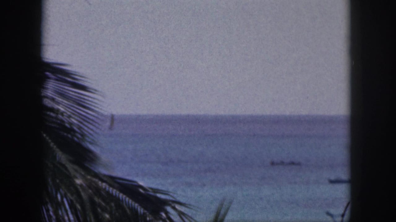1959 Hawaii 8mm frame showing palm fronds in silhouette, calm blue ocean, and small boats offshore.