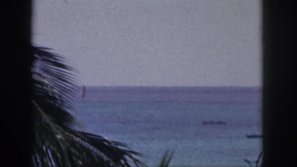 1959 Hawaii 8mm frame showing palm fronds in silhouette, calm blue ocean, and small boats offshore.