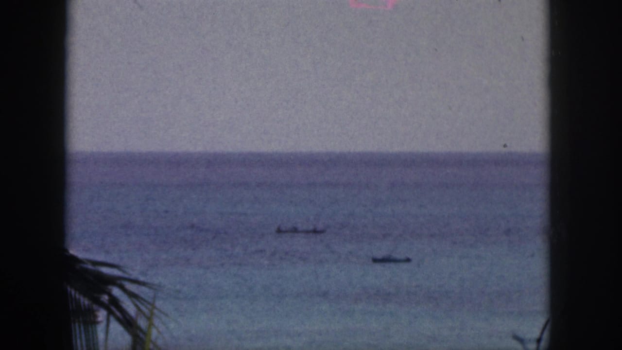 A dark palm trunk and fronds frame the ocean, with small boats visible offshore.