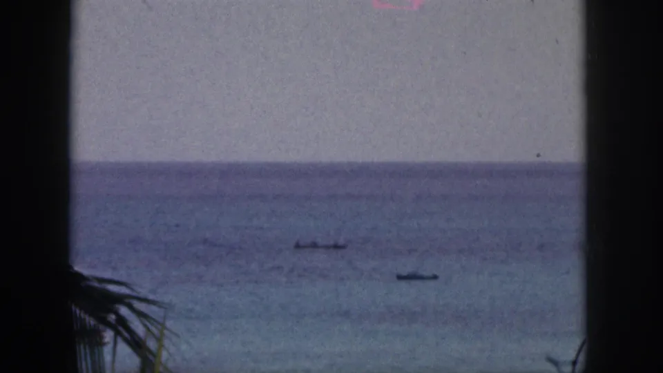 Palm-framed 1959 Hawaii shoreline view with blue water, distant horizon, and several small boats offshore.