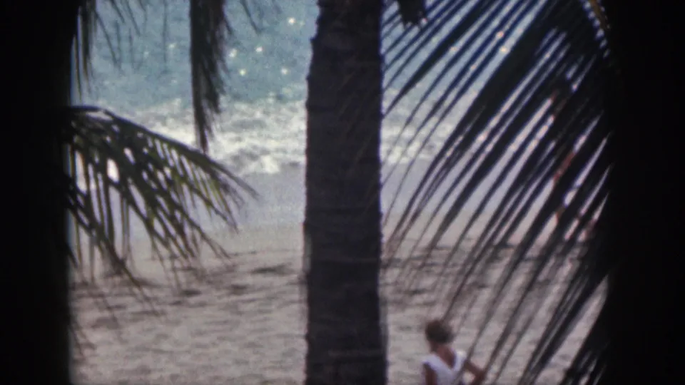 Palm-framed 1959 Hawaii beach view with surf and a woman partly visible near the bottom of the frame.