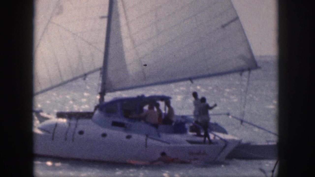White catamaran with raised sails on bright ocean water, with several people aboard and a swimmer near the hull.