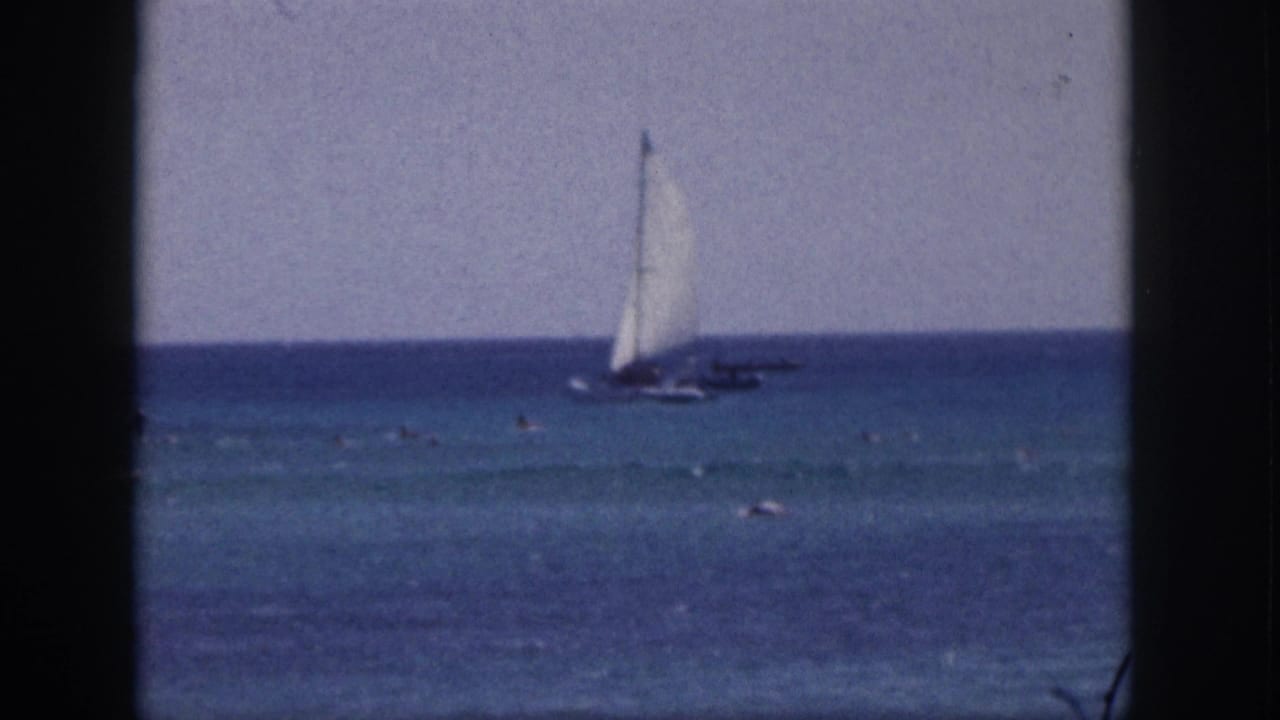 White-sailed boat on the horizon with swimmers in the foreground sea.