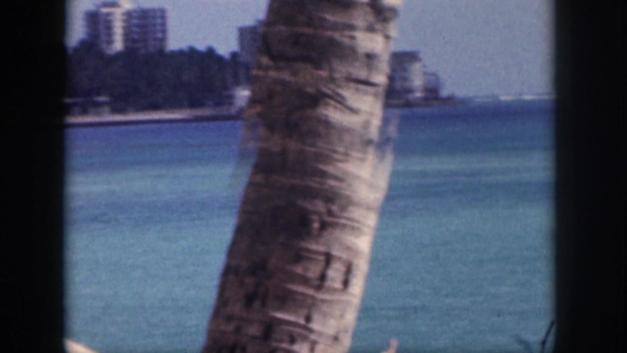 1959 Hawaii beach frame with a palm trunk crossing the foreground, blue-green ocean water, and distant shoreline buildings along the coast.