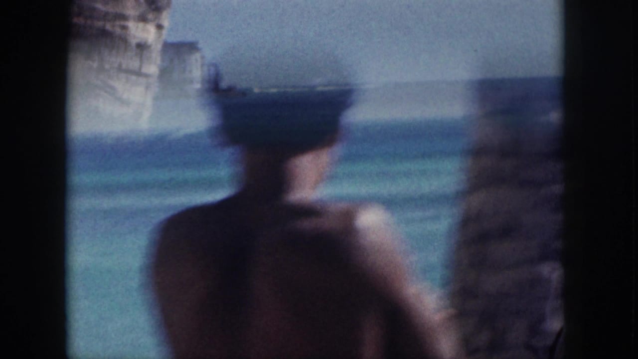 Blurred shirtless man seen from behind near palm trunks facing the ocean.