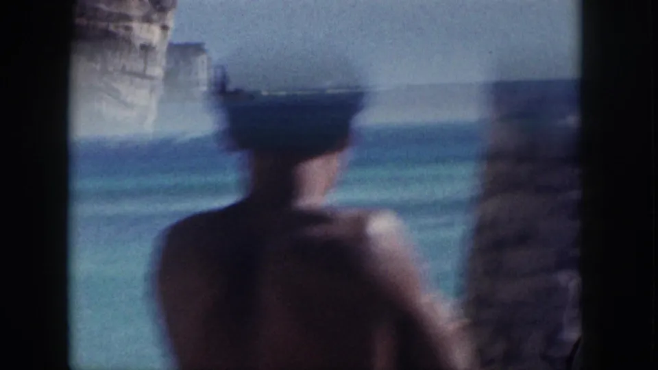 Soft 1959 Hawaii beach frame showing a shirtless man from behind between palm trunks, looking toward the water.