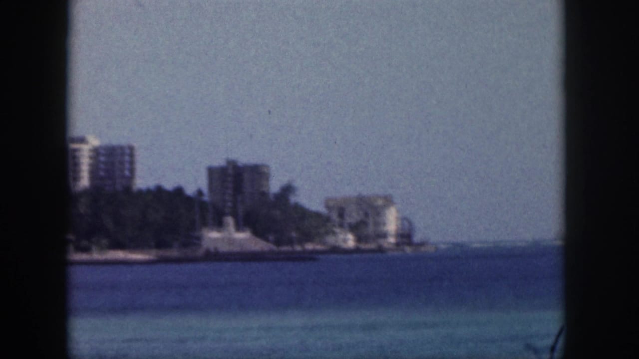 Coastal buildings and palm trees across the water, divided by dark window framing.
