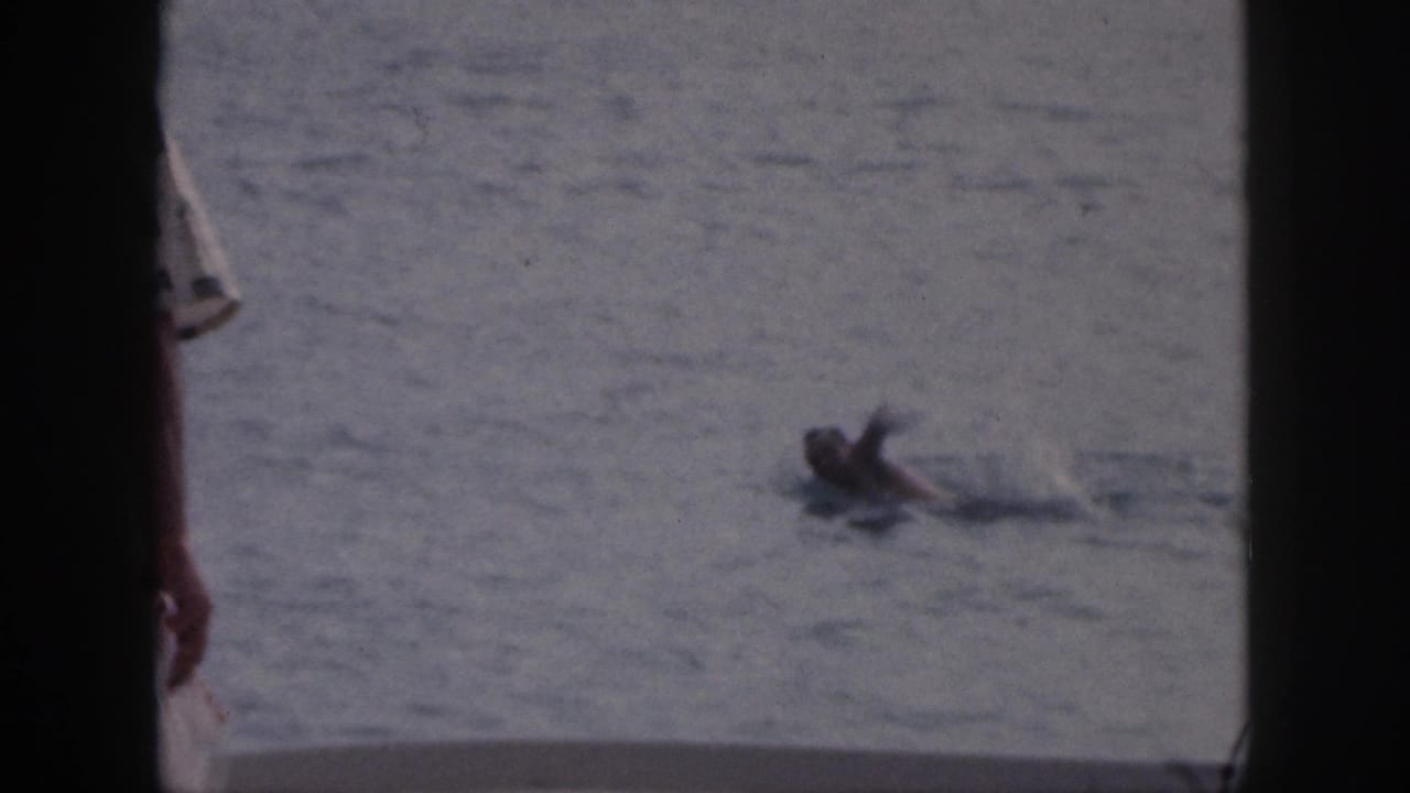 1959 Hawaii 8mm frame showing a swimmer or floater in calm water with a partial outrigger canoe edge below.