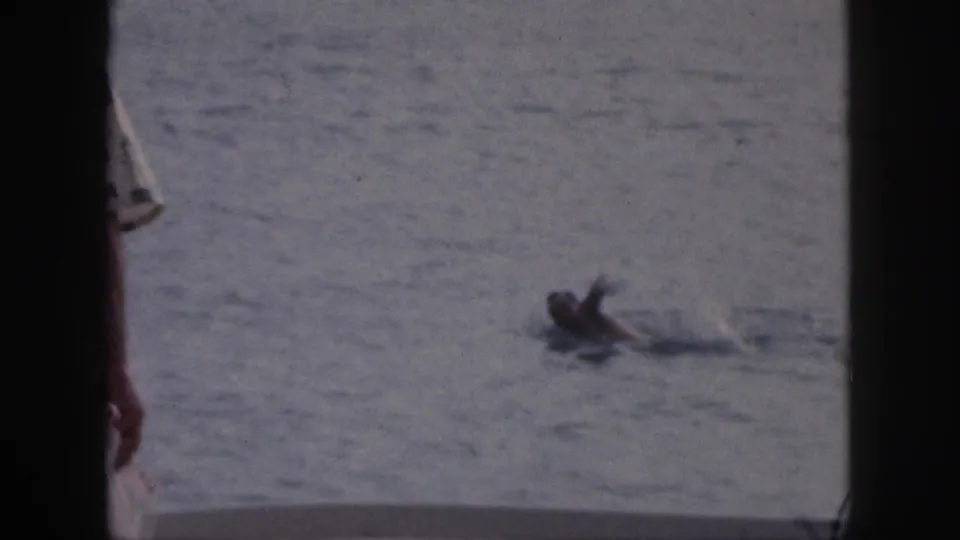1959 Hawaii 8mm frame showing a swimmer or floater in calm water with a partial outrigger canoe edge below.