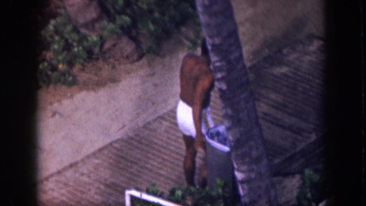 Shirtless man in white swim trunks walking beside palm trees on a resort path.