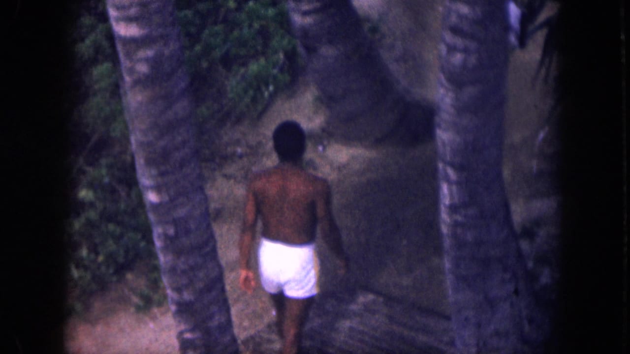Man seen from behind walking away among palm trunks and tropical foliage.