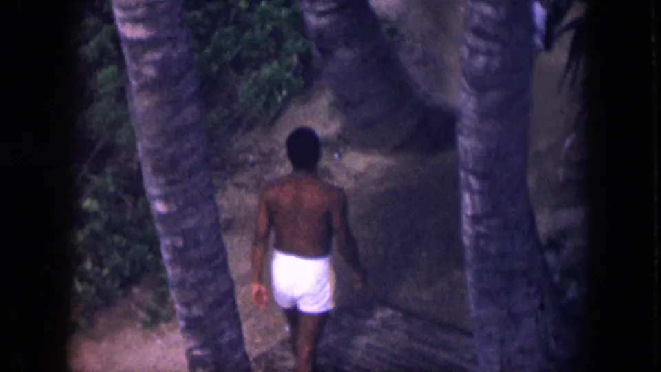 1959 Hawaii frame showing a man from behind as he walks away through a palm-lined outdoor resort area.